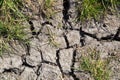 Dampened soil with grass Royalty Free Stock Photo