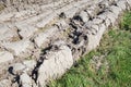 Dampened soil with grass Royalty Free Stock Photo