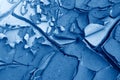 dried cracked surface of earth with sprouting grass in cracks toned in trendy Classic Blue color of the Year 2020 Royalty Free Stock Photo