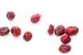 Dried cranberries isolated on white background Royalty Free Stock Photo