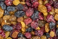 dried cranberries with yellow and black raisins mixed together