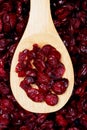 Dried cranberry fruit