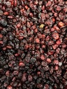 Dried cranberry fruits. Background and detail. Royalty Free Stock Photo
