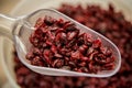 Dried Cranberry Royalty Free Stock Photo