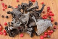 Dried Craterellus cornucopioides Royalty Free Stock Photo