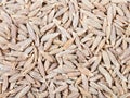 Dried cumin (cummin) spice seeds Royalty Free Stock Photo