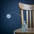 Dried dandelion in a small glass bottle on wooden Viennese chair near a dark blue wall