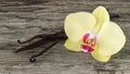 Dried dark brown vanilla pods and yellow orchid flower on wooden board background. Aromatic vanilla beans as spice