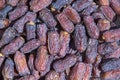Dried date palm fruit Royalty Free Stock Photo