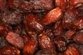 Dried Dates Royalty Free Stock Photo