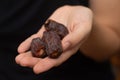 Dried Dates in Female Hand. Offering a handful of glossy, sweet dried dates