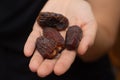 Dried Dates in Female Hand. Offering a handful of glossy, sweet dried dates