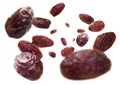 Dried dates levitate on a white background Royalty Free Stock Photo