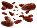 Dried dates levitate on a white background Royalty Free Stock Photo