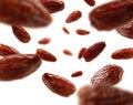 Dried dates levitate on a white background Royalty Free Stock Photo