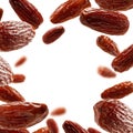 Dried dates levitate on a white background Royalty Free Stock Photo