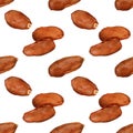 Dried dates. Seamless watercolor pattern