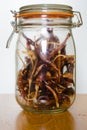 Dried de arbol chiles or chillies in glass storage jar with shallow depth of field