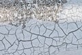 Dried desiccation cracks forming in fresh cement. Royalty Free Stock Photo