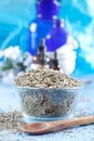 Dried dill seeds Royalty Free Stock Photo