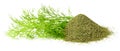 Dried dill weed and fresh dill weed isolated on white Royalty Free Stock Photo