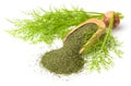 Dried dill weed in the wooden scoop, with fresh dill weed, isolated on white Royalty Free Stock Photo