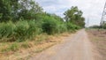 Dried dirt in country road