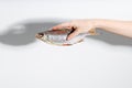 Dried dry fish ram, roach, bream, flatfish are held by female hand on a white background. Beer snack Royalty Free Stock Photo