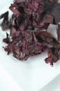 Top view of dried dulse Palmaria palmata seaweed Royalty Free Stock Photo