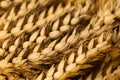Dried Ears Of Wheat As Background, Closeup