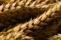 Dried Ears Of Wheat As Background, Closeup