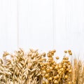 Dried ears of wheat, oats and other grains lie on a white background wood Royalty Free Stock Photo