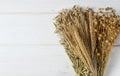 Dried ears of wheat, oats and other grains lie on a white background wood Royalty Free Stock Photo