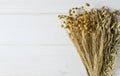 Dried ears of wheat, oats and other grains lie on a white background wood Royalty Free Stock Photo