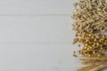 Dried ears of wheat, oats and other grains lie on a white background wood