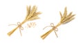 Dried ears of wheat on white background, top view. Banner design Royalty Free Stock Photo