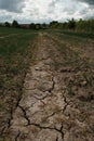 Dried earth in tillage field