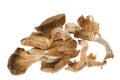 Dried Edible Mushrooms