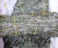 Dried edible seaweed