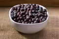 Dried elderberries in small white bowl Royalty Free Stock Photo