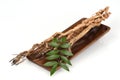 Dried Eurycoma longifolia Jack tree and green leaves on natural background.