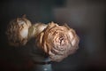 Dried faded flowers roses bouquet on dark blurred backdrop