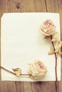 Dried faded roses on old paper on wooden background Royalty Free Stock Photo