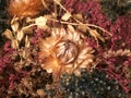 Dried Fall Flowers 3