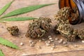 Dried female buds of marijuana flowers with hemp leaves. Cannabis weed bud lying on wooden table