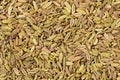 Dried fennel seeds