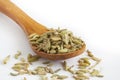 Dried fennel seeds
