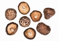 Dried field mushrooms