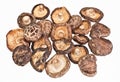 Dried field mushrooms Royalty Free Stock Photo