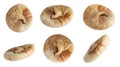 Dried fig fruits falling on background. Banner design Royalty Free Stock Photo